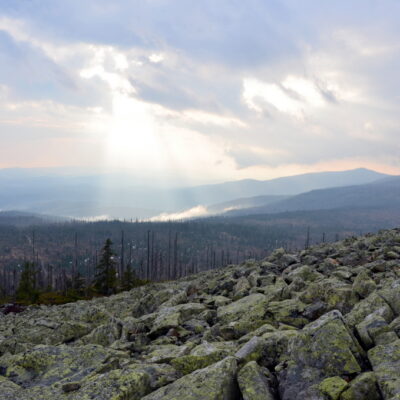 Frohe Weihnachten und ein glückliches Neues Jahr thumbnail
