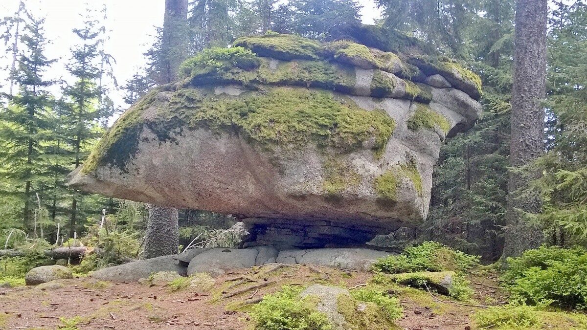 Beitragsbild: Bärenpfadwanderung
