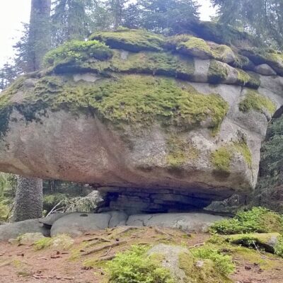 Bärenpfadwanderung thumbnail