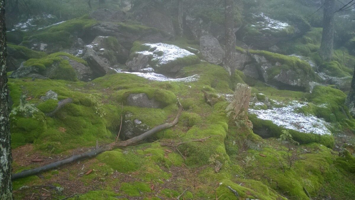 Beitragsbild: Mystische Osserwanderung