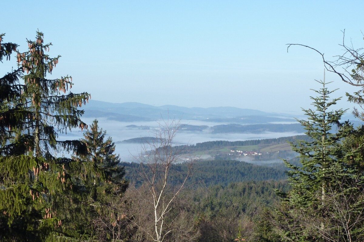 Beitragsbild: Sonnige Jahreabschlusswanderung zum Wagensonnriegel