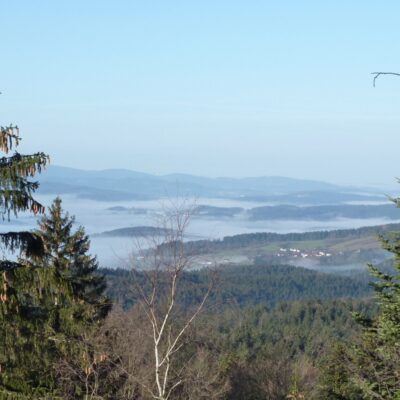 Sonnige Jahreabschlusswanderung zum Wagensonnriegel thumbnail