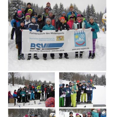 Erfolgreiche Skilangläufer des WSV-Grafenau beim Bezirksfinale 2017 in Finsterau thumbnail