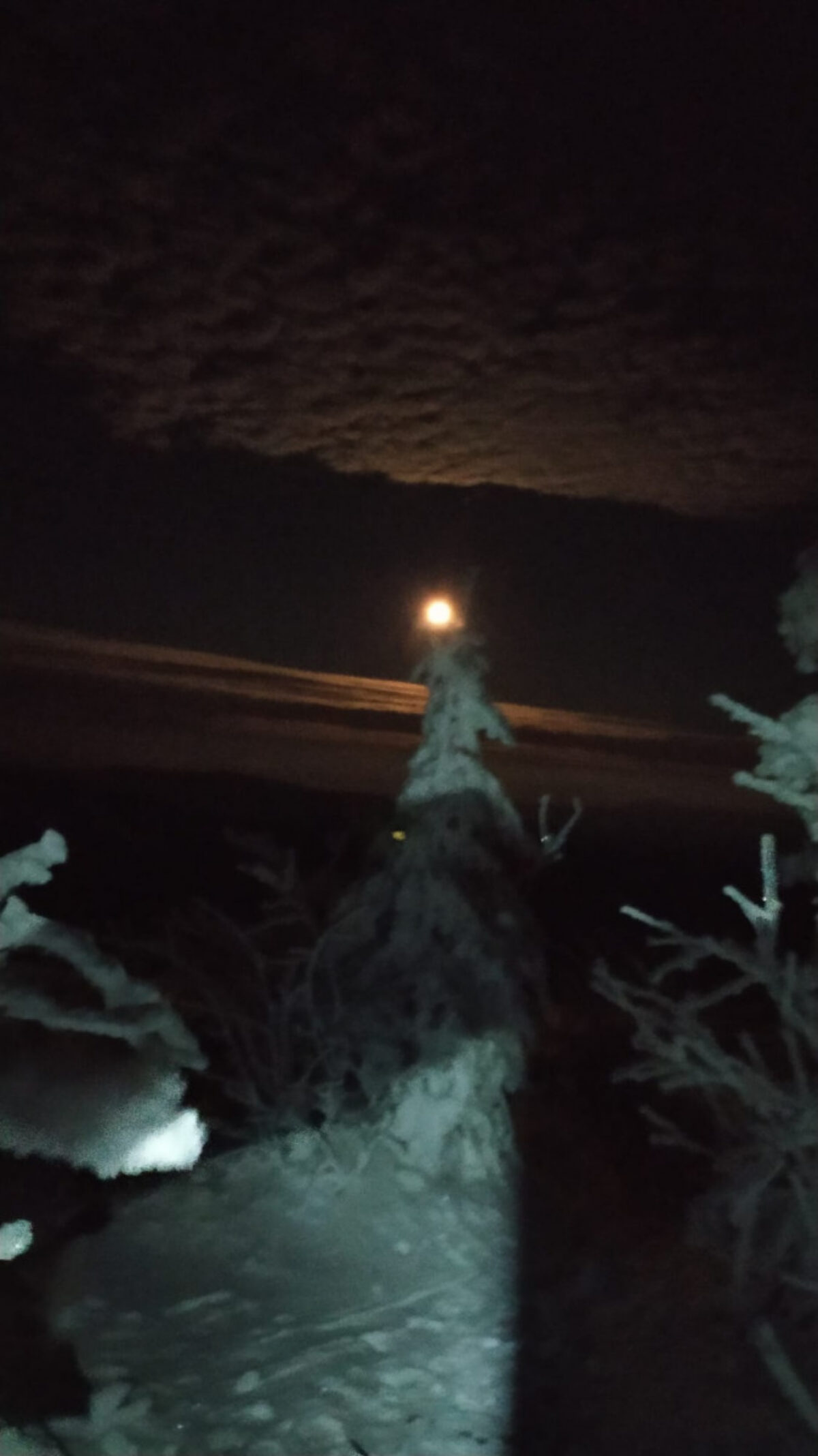 Beitragsbild: Wanderung auf unseren Hausberg bei Vollmond