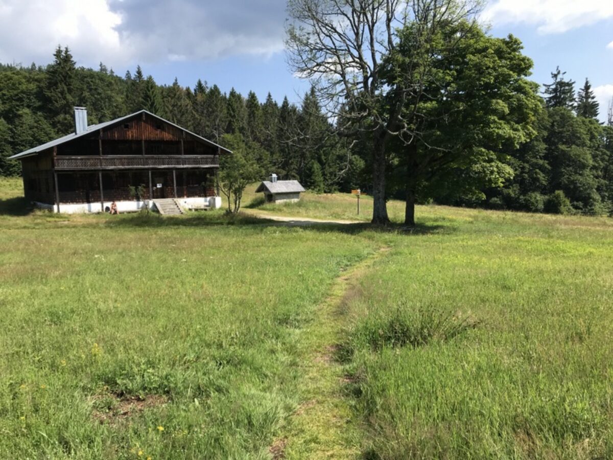 Beitragsbild: Auf Umwegen zum Lusen