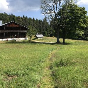 Auf Umwegen zum Lusen