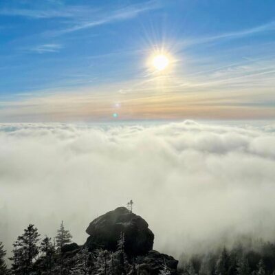 Frohe Weihnachten und ein gutes neues Jahr! thumbnail