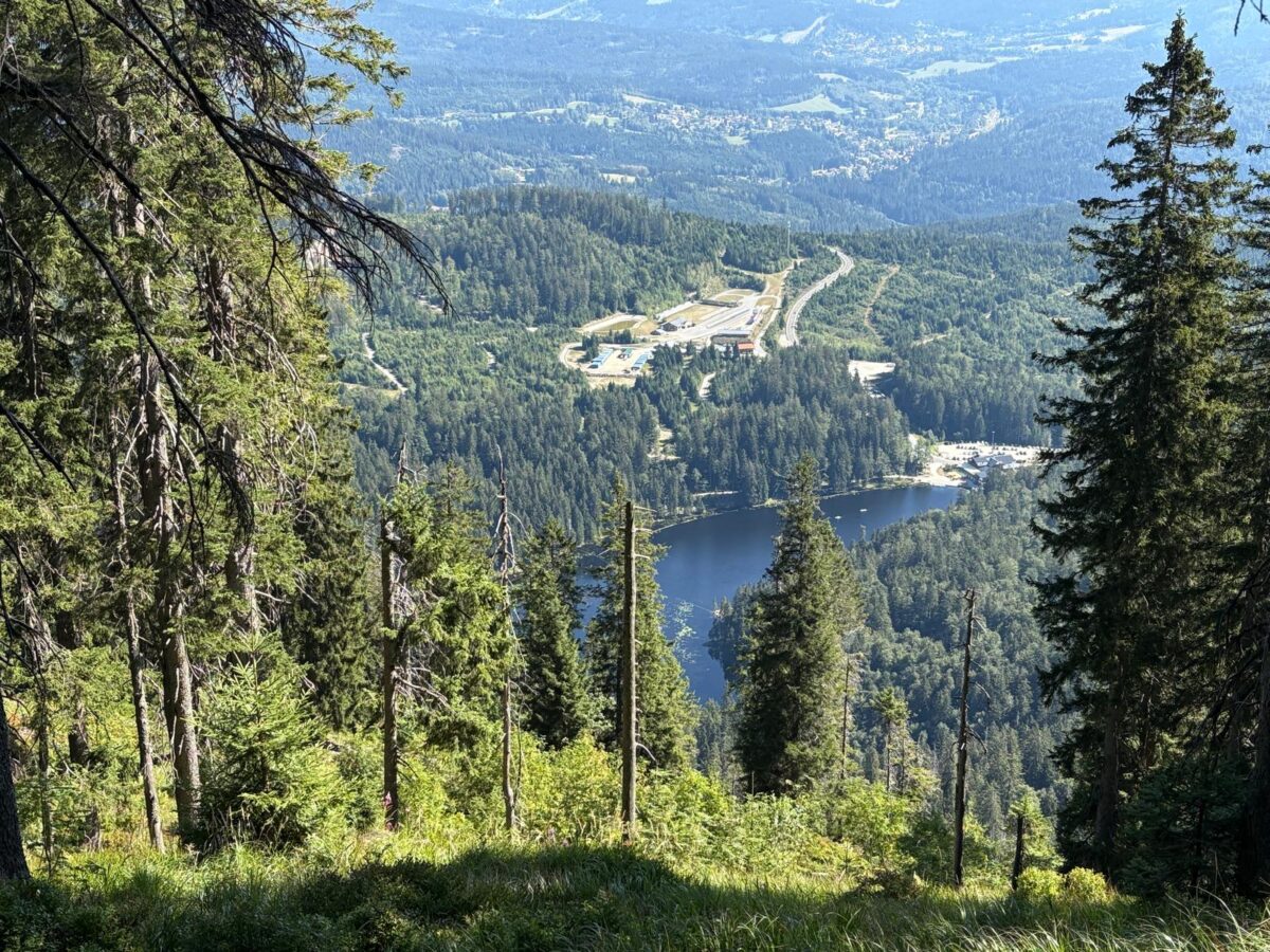 Beitragsbild: Wanderung rund um den König des Bayerischen Waldes