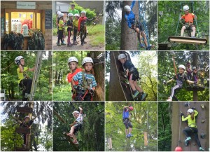 Collage Kletterwald 2